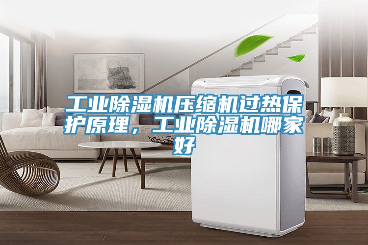 工業除濕機壓縮機過熱保護原理，工業除濕機哪家好