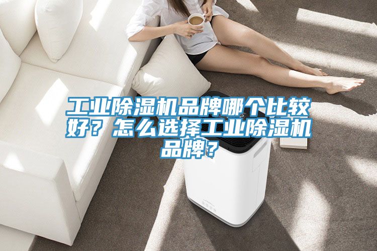 工業(yè)除濕機品牌哪個比較好？怎么選擇工業(yè)除濕機品牌？