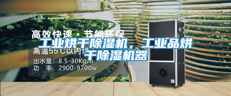 工業(yè)烘干除濕機(jī)，工業(yè)品烘干除濕機(jī)器