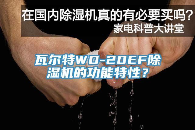 瓦爾特WD-20EF除濕機的功能特性？