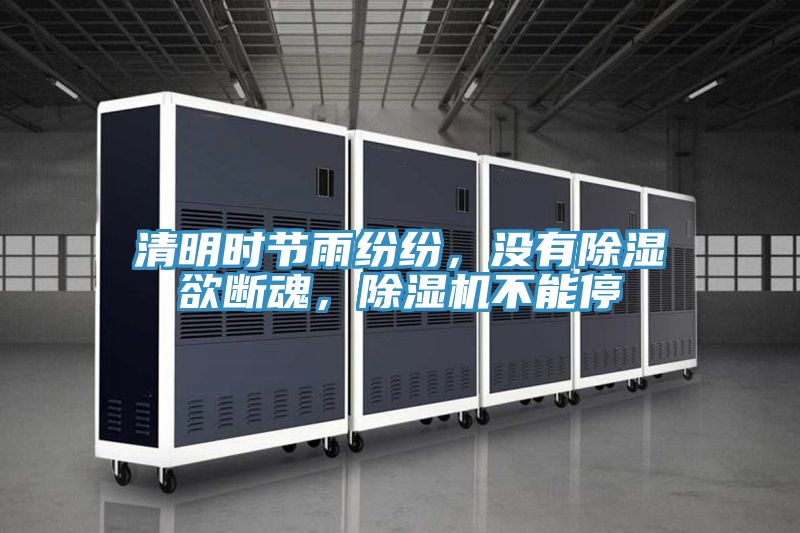 清明時節雨紛紛,沒有除濕欲斷魂,除濕機不能停