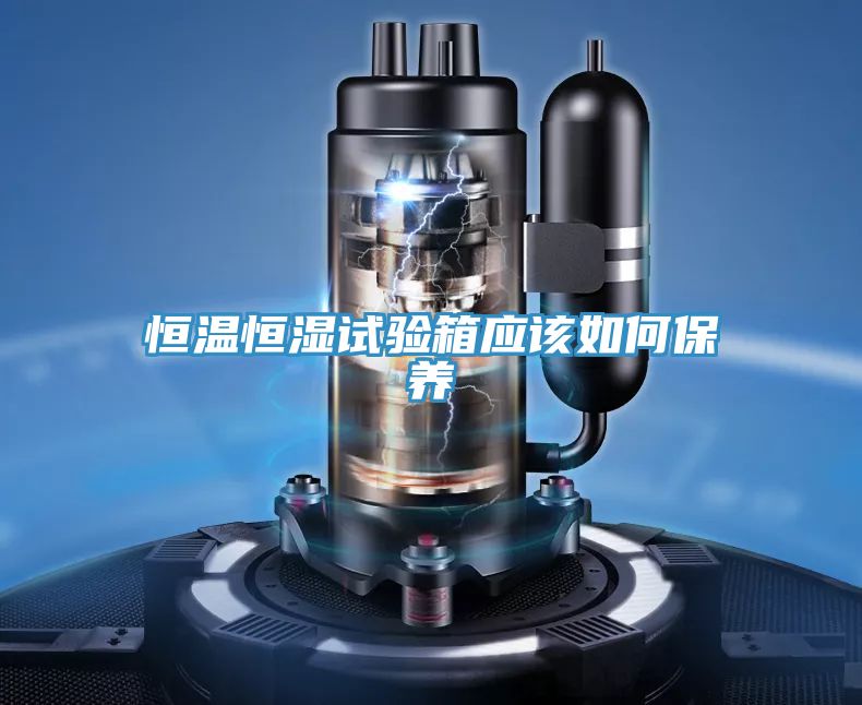 恒溫恒濕試驗(yàn)箱應(yīng)該如何保養(yǎng)