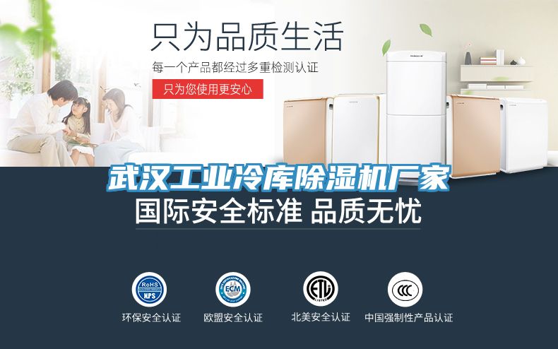 武漢工業冷庫除濕機廠家