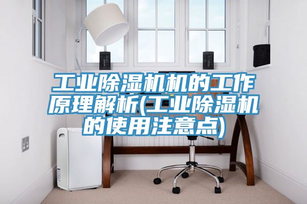 工業除濕機機的工作原理解析(工業除濕機的使用注意點)