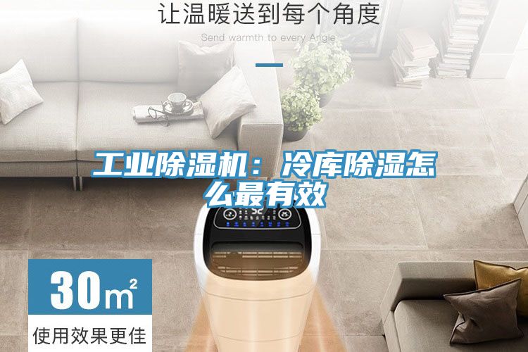 工業除濕機：冷庫除濕怎么最有效