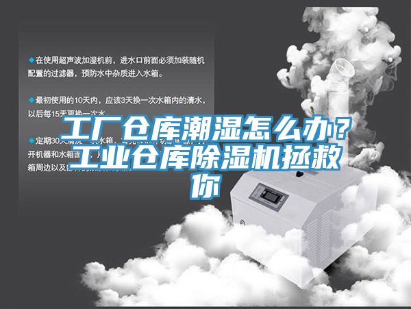 工廠倉庫潮濕怎么辦？工業倉庫除濕機拯救你