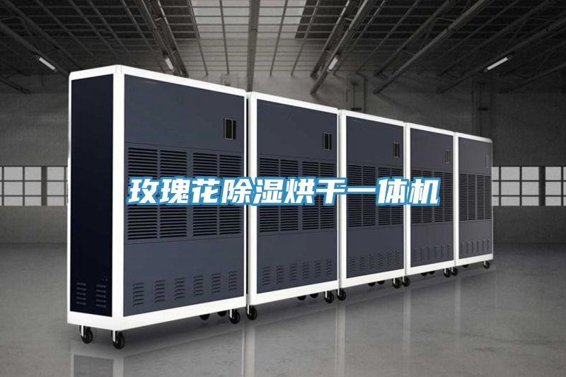 玫瑰花除濕烘干一體機