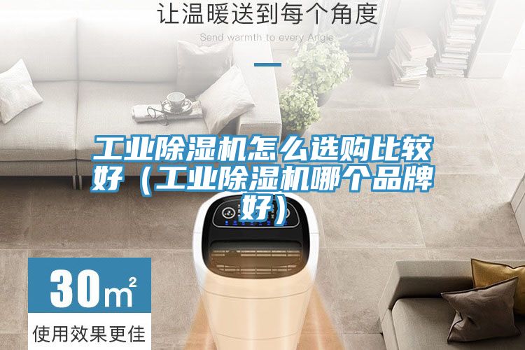 工業除濕機怎么選購比較好（工業除濕機哪個品牌好）