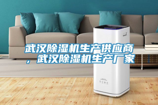 武漢除濕機生產供應商，武漢除濕機生產廠家