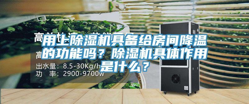 用上除濕機具備給房間降溫的功能嗎?除濕機具體作用是什么?