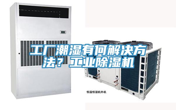 工廠潮濕有何解決方法？工業除濕機
