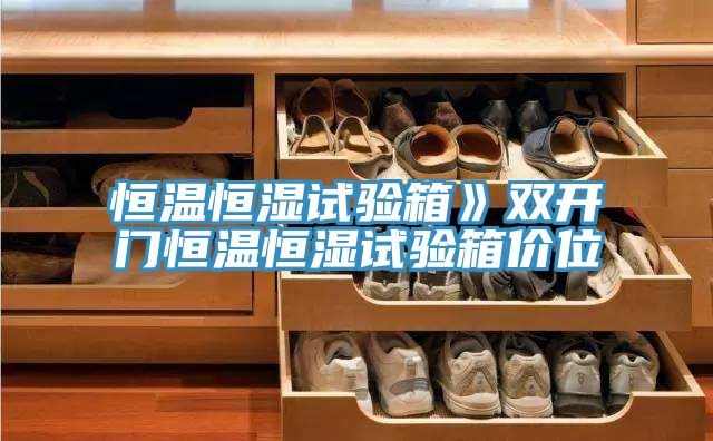 恒溫恒濕試驗箱》雙開門恒溫恒濕試驗箱價位