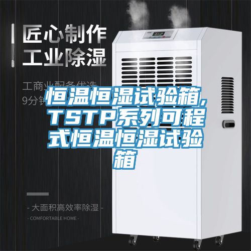 恒溫恒濕試驗(yàn)箱,TSTP系列可程式恒溫恒濕試驗(yàn)箱