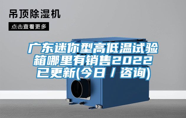 廣東迷你型高低溫試驗箱哪里有銷售2022已更新(今日／咨詢)