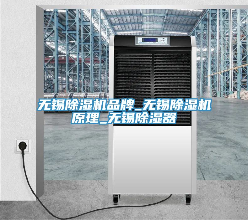 無(wú)錫除濕機(jī)品牌_無(wú)錫除濕機(jī)原理_無(wú)錫除濕器