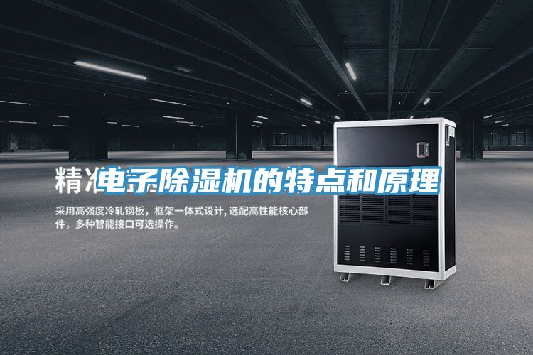 電子除濕機的特點和原理
