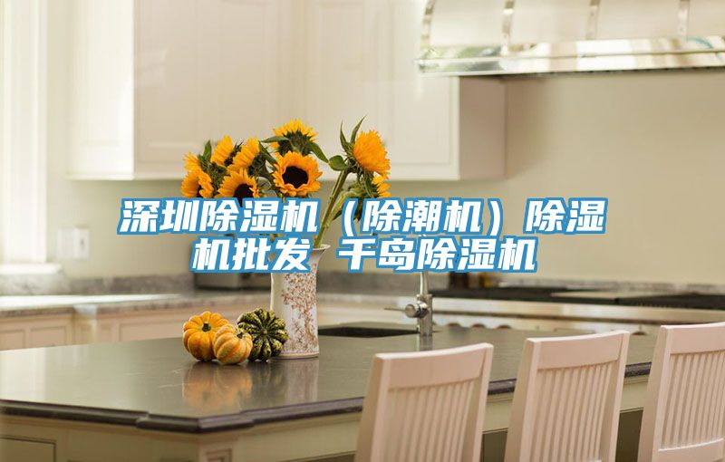 深圳除濕機(除潮機)除濕機批發 千島除濕機