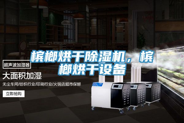 檳榔烘干除濕機，檳榔烘干設備