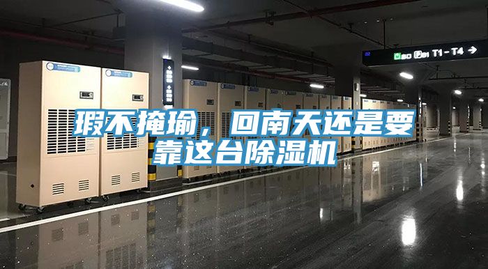 瑕不掩瑜，回南天還是要靠這臺除濕機