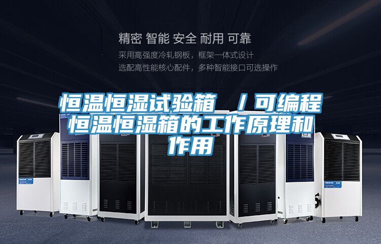 恒溫恒濕試驗(yàn)箱 /可編程恒溫恒濕箱的工作原理和作用