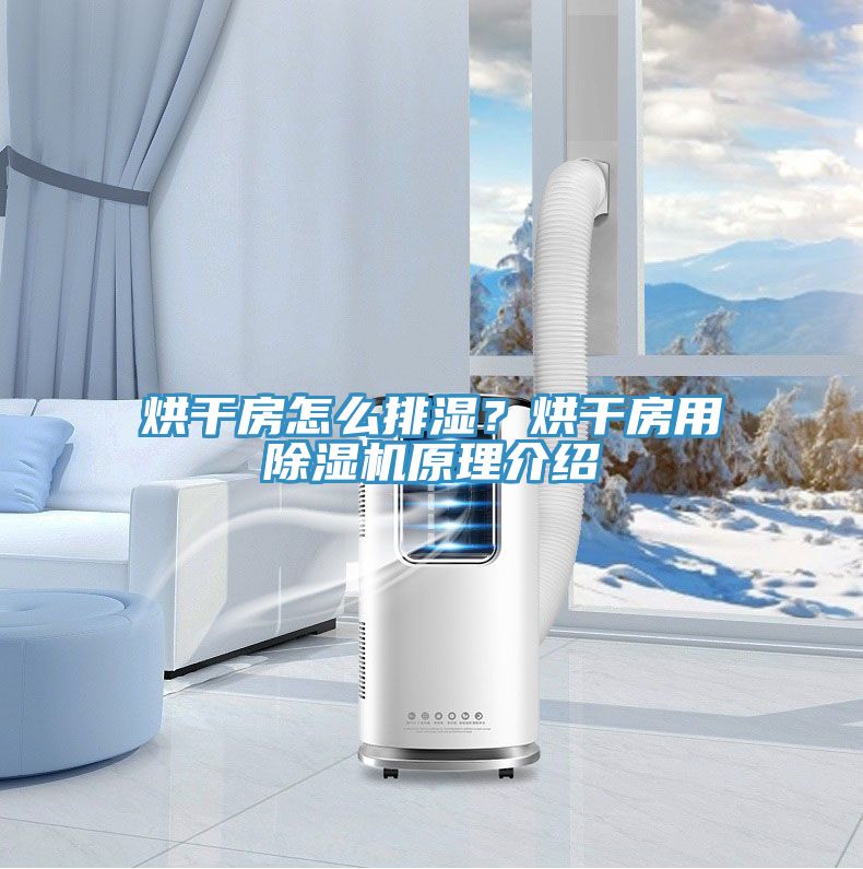 烘干房怎么排濕?烘干房用除濕機原理介紹