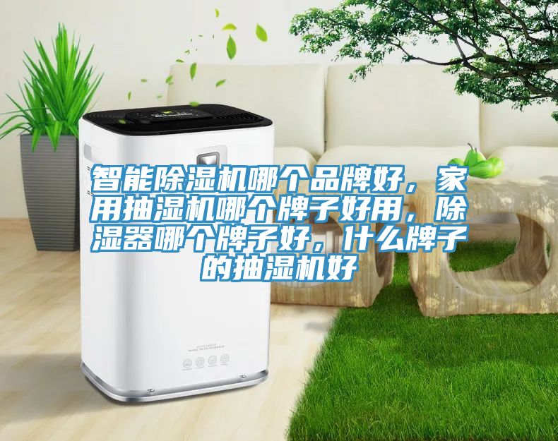 智能除濕機哪個品牌好，家用抽濕機哪個牌子好用，除濕器哪個牌子好，什么牌子的抽濕機好