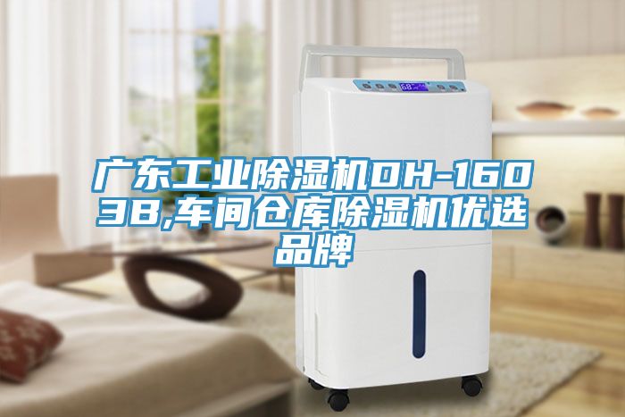 廣東工業除濕機DH-1603B,車間倉庫除濕機優選品牌
