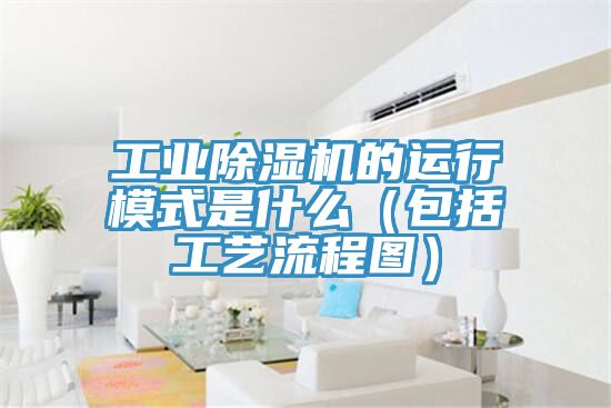 工業除濕機的運行模式是什么（包括工藝流程圖）