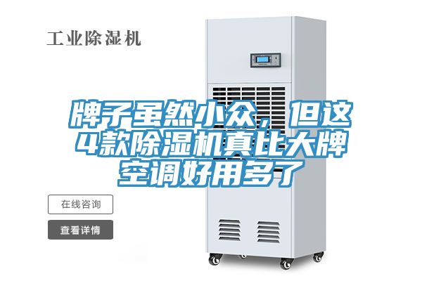 牌子雖然小眾,但這4款除濕機真比大牌空調好用多了