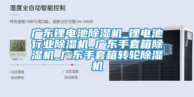 廣東鋰電池除濕機_鋰電池行業除濕機_廣東手套箱除濕機_廣東手套箱轉輪除濕機