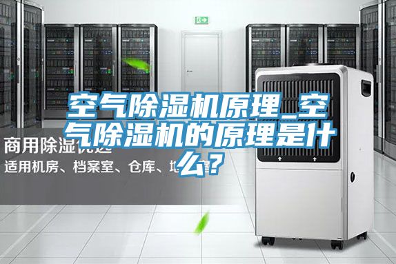 空氣除濕機原理_空氣除濕機的原理是什么?
