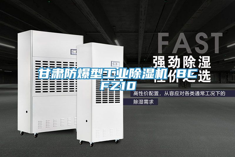 甘肅防爆型工業(yè)除濕機 BCFZ10