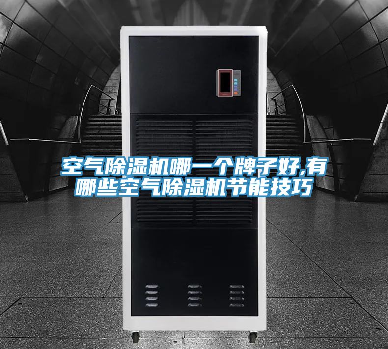 空氣除濕機哪一個牌子好,有哪些空氣除濕機節能技巧