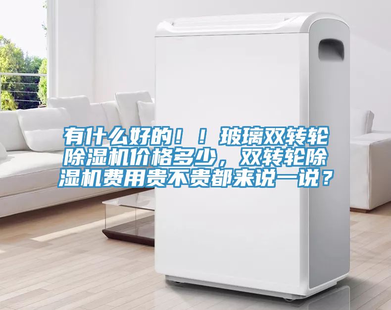 有什么好的！！玻璃雙轉(zhuǎn)輪除濕機(jī)價(jià)格多少，雙轉(zhuǎn)輪除濕機(jī)費(fèi)用貴不貴都來說一說？