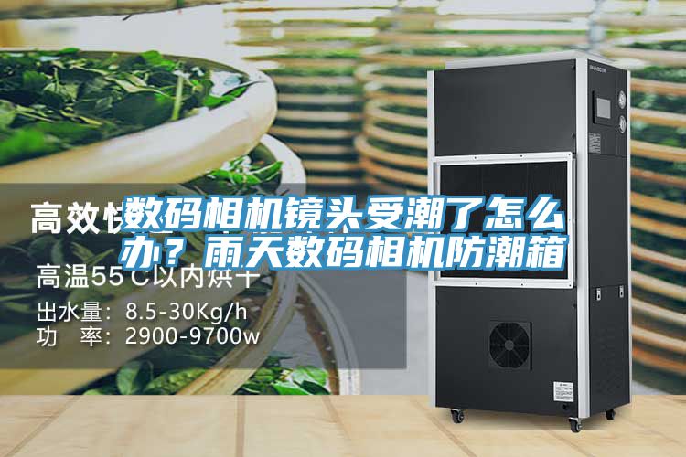 數碼相機鏡頭受潮了怎么辦？雨天數碼相機防潮箱