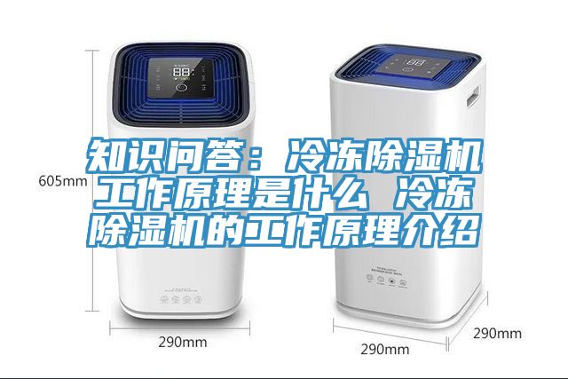 知識問答:冷凍除濕機工作原理是什么 冷凍除濕機的工作原理介紹