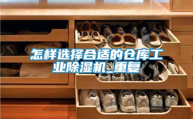怎樣選擇合適的倉(cāng)庫(kù)工業(yè)除濕機(jī)_重復(fù)