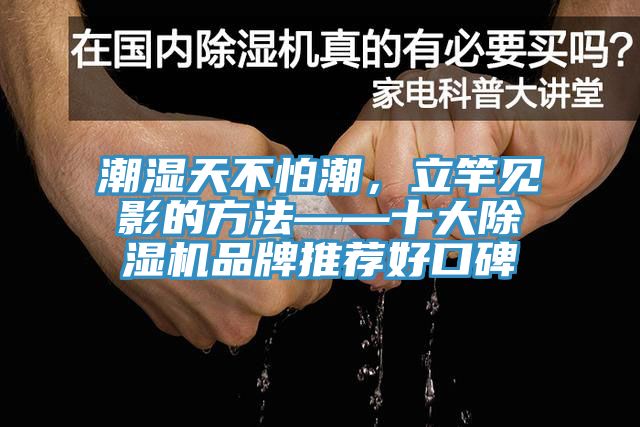 潮濕天不怕潮，立竿見影的方法——十大除濕機品牌推薦好口碑