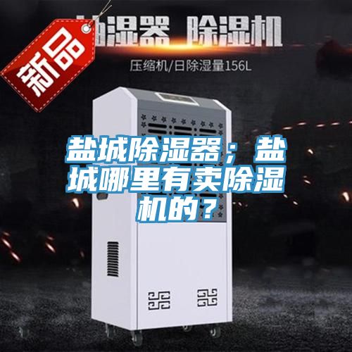 鹽城除濕器；鹽城哪里有賣除濕機的？