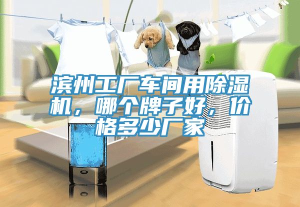 濱州工廠車間用除濕機(jī)，哪個牌子好，價格多少廠家