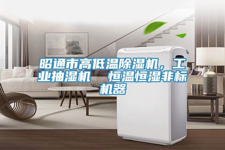 昭通市高低溫除濕機，工業抽濕機  恒溫恒濕非標機器