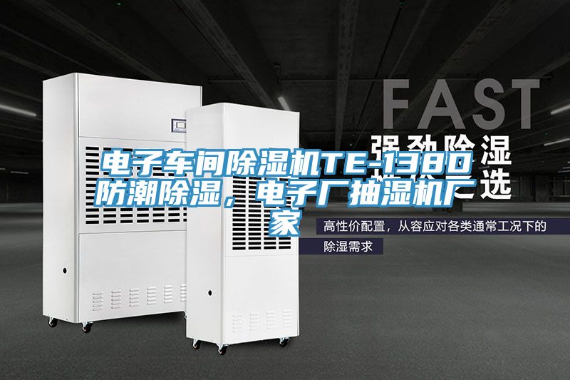 電子車間除濕機TE-138D防潮除濕，電子廠抽濕機廠家