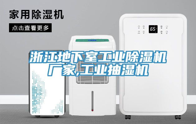 浙江地下室工業(yè)除濕機廠家,工業(yè)抽濕機