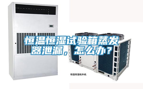 恒溫恒濕試驗箱蒸發器泄漏，怎么辦？