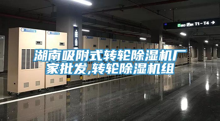 湖南吸附式轉輪除濕機廠家批發,轉輪除濕機組