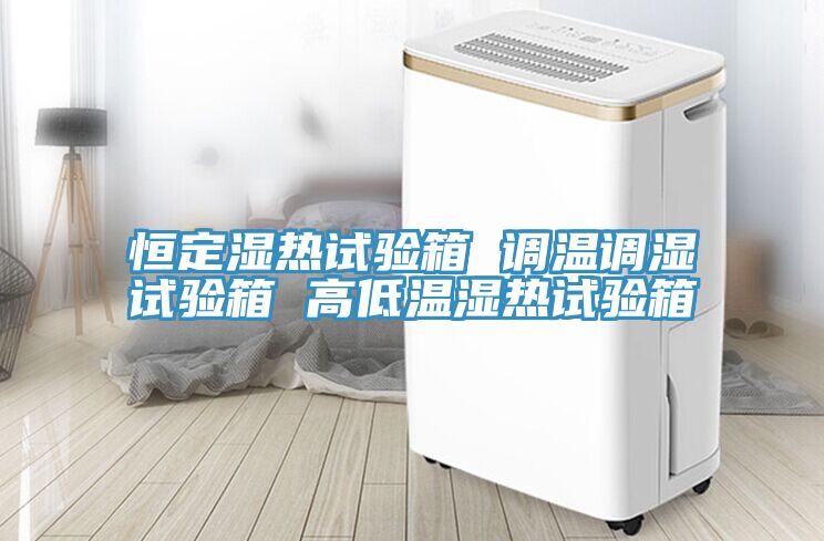 恒定濕熱試驗(yàn)箱 調(diào)溫調(diào)濕試驗(yàn)箱 高低溫濕熱試驗(yàn)箱