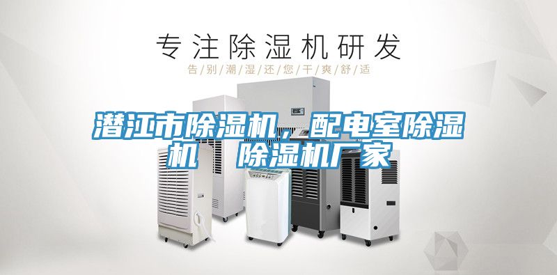 潛江市除濕機，配電室除濕機  除濕機廠家