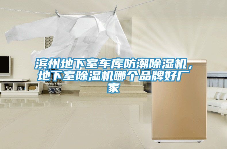 濱州地下室車庫防潮除濕機(jī)，地下室除濕機(jī)哪個品牌好廠家