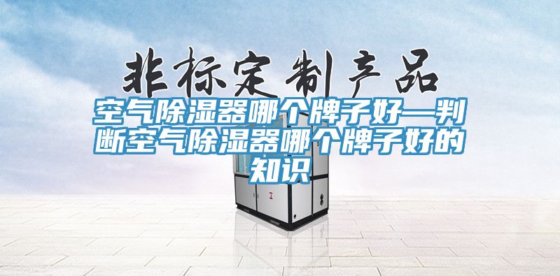 空氣除濕器哪個(gè)牌子好—判斷空氣除濕器哪個(gè)牌子好的知識