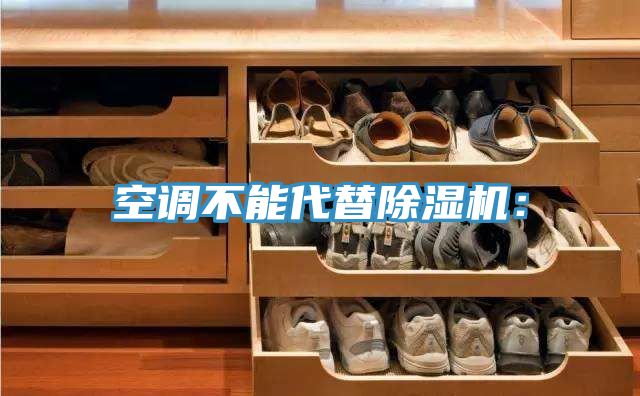 空調不能代替除濕機：